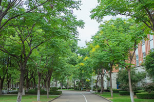 北京市博文學(xué)校