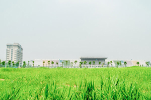 όWԺռFI(y)I(y)