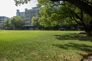 ͨW늚⹤̌WԺI(y)˲B(yng)Ӌ