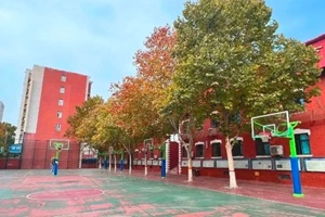 嘉貝國(guó)際高中（43中校區(qū)）