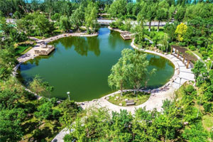 ʯܿƼWԺ늚ӹWI(y)Tʿ£У