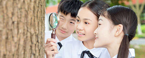 重慶化工職業(yè)學(xué)院2024年高職分類考試招生章程(重慶化工職業(yè)學(xué)院有哪些專業(yè))