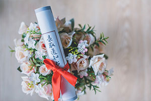 西安文理學(xué)院2024年招生計(jì)劃和招生人數(shù)統(tǒng)計(jì)