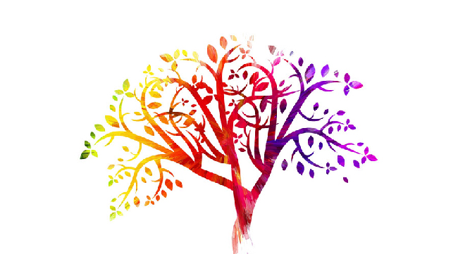 網(wǎng)絡(luò)用圖,與本文無(wú)關(guān)