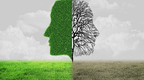 環(huán)境藝術(shù)設(shè)計(jì)