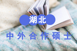 中外合作辦學(xué)碩士