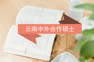 中外合作辦學碩士