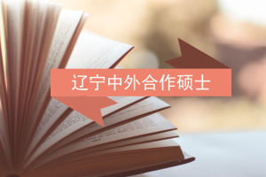 中外合作辦學(xué)碩士