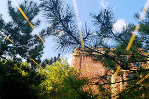 黑利伯瑞國際學校