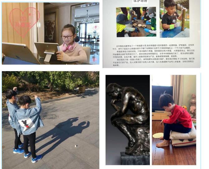 青苗國際雙語學(xué)校