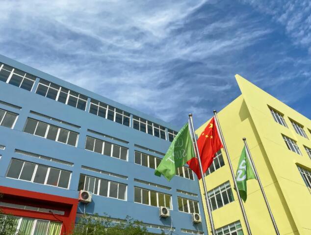 成都青苗國(guó)際學(xué)校