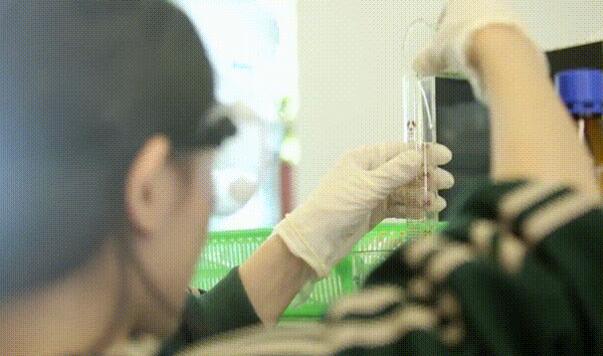 北京市私立匯佳學(xué)校