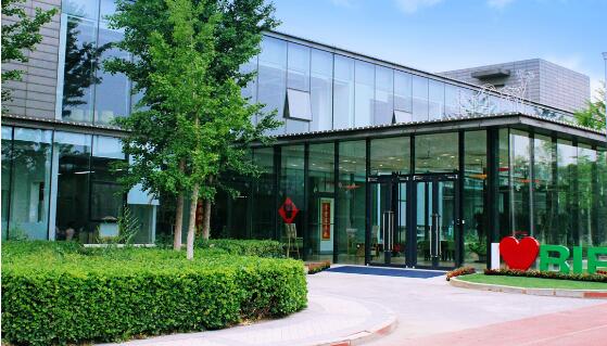 青苗國際雙語學校