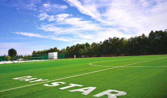 啟明星雙語學校