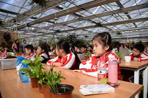 通州區(qū)國際小學(xué)