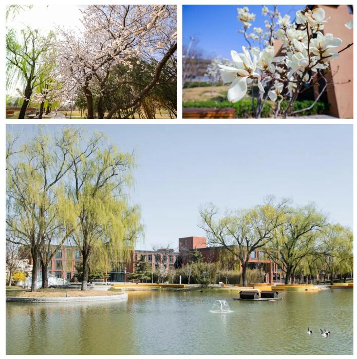 北京海淀凱文學(xué)校開放日