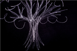 pCоо͘I(y)(yu)݆