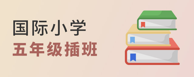 國(guó)際小學(xué)插班