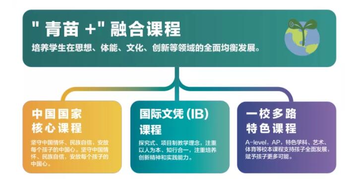 青苗國(guó)際雙語(yǔ)學(xué)校2.jpg
