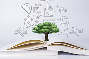 中育貝拉國際高中