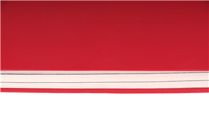 2025ͬȌW(xu)T(bo)_ͨ