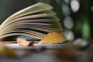 ҕX_O(sh)ӋI(y)ʲôã