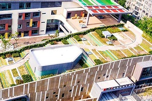 北京樂成國際學校錄取分數(shù)線