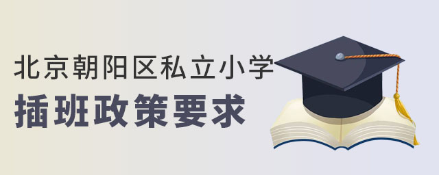 北京朝陽區(qū)私立小學(xué)插班政策要求