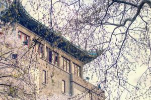 2025年北京第二外國語學(xué)院繼續(xù)教育學(xué)院招生專業(yè)有哪些？