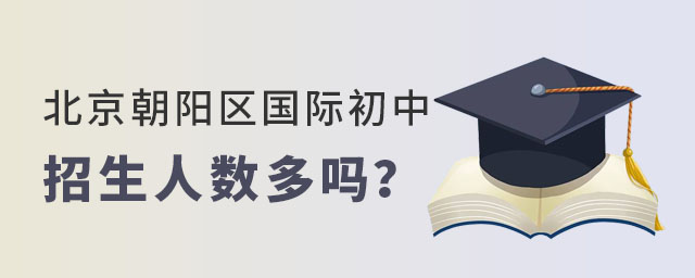 北京朝陽區(qū)國際初中招生人數
