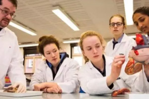 天津美達(dá)菲國(guó)際學(xué)校