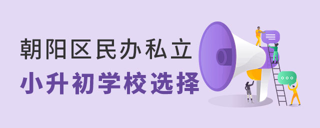 北京朝陽區(qū)民辦私立學校