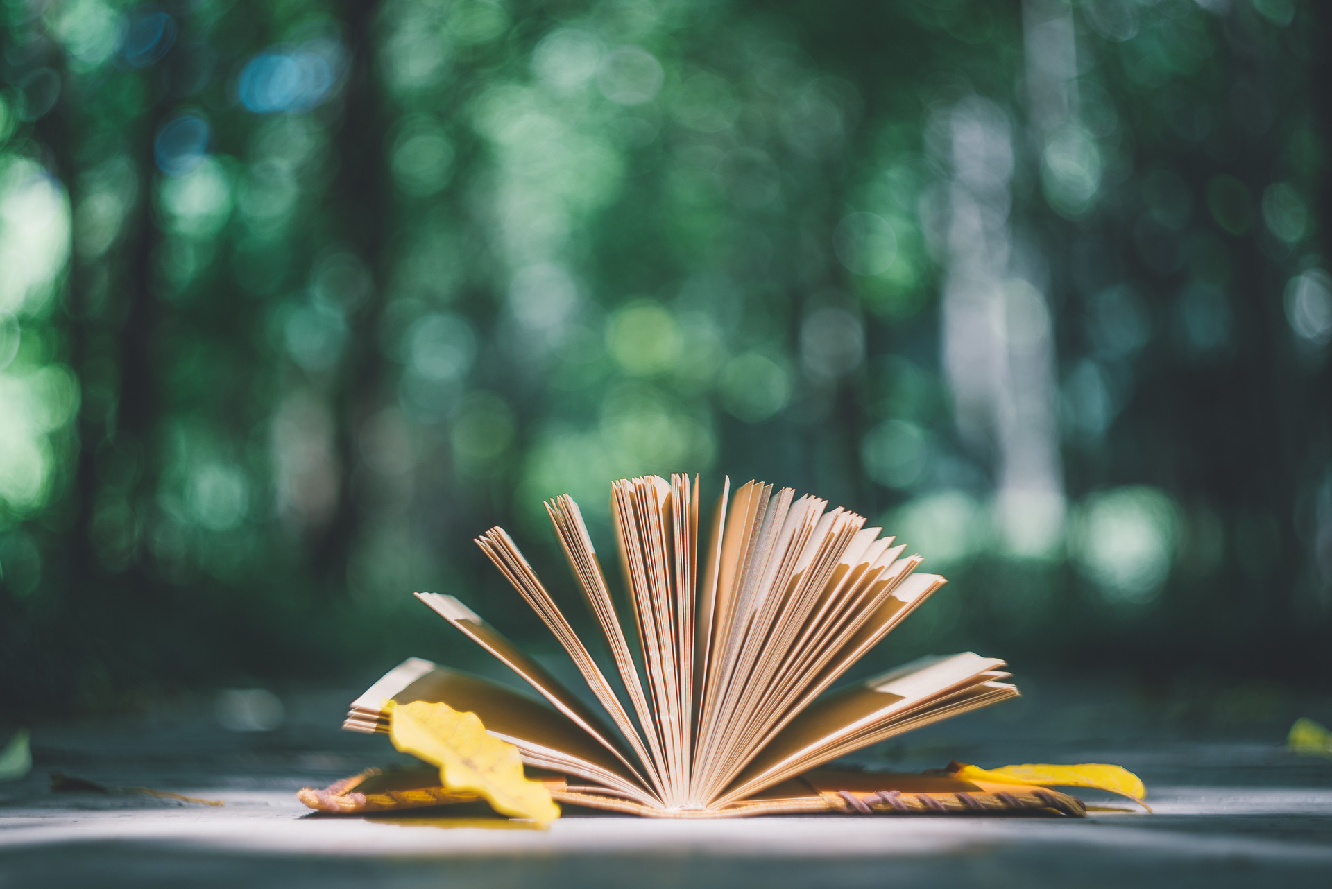 Ӱҕ݌I(y)ҪW(xu)ķ