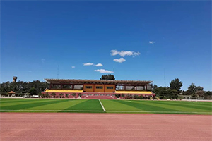 S_(ti)^(q)±xW(xu)УסУ