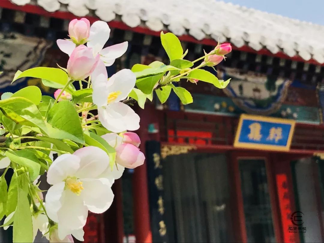 北京市匯賢學校