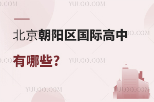 北京朝陽區(qū)國際高中有哪些