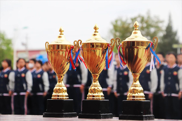 三河市燕橋學校是私立還是公立？就讀有學籍嗎？