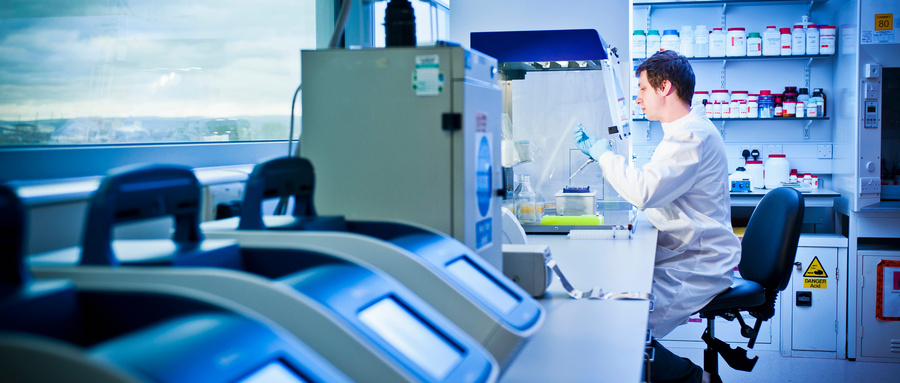 W(xu)˹܌I(y)ǲǻXǳ