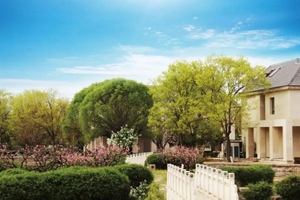 昌平區(qū)政協(xié)副主席、區(qū)委教育工委書記王建調(diào)研北京東方紅學(xué)校黨建工作