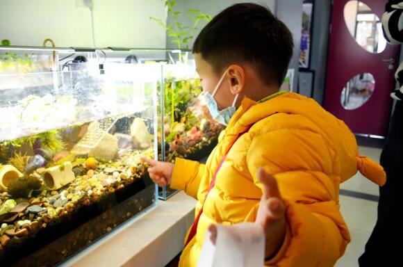 (gu)HW(xu)УСW(xu)A(y)I(yng)(sh)ĈD4