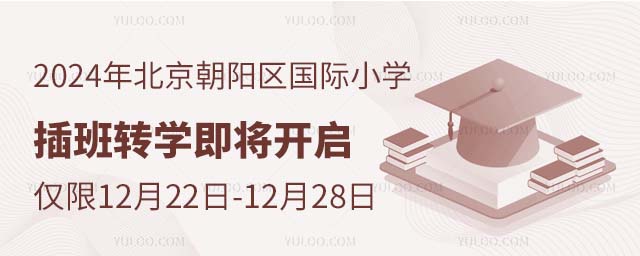 2024年北京朝陽區(qū)國際小學(xué)插班轉(zhuǎn)學(xué)即將開啟