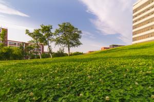 ЩW(xu)ҕX(ju)_(d)O(sh)Ӌ(j)I(y)