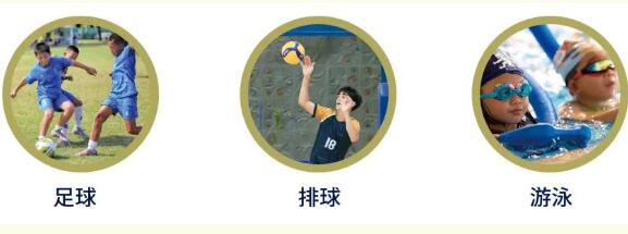 哈羅北京雄獅體育學(xué)院課程