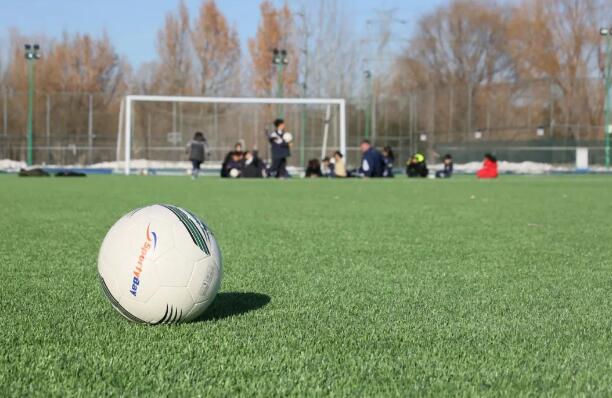 哈羅北京雄獅體育學(xué)院課程