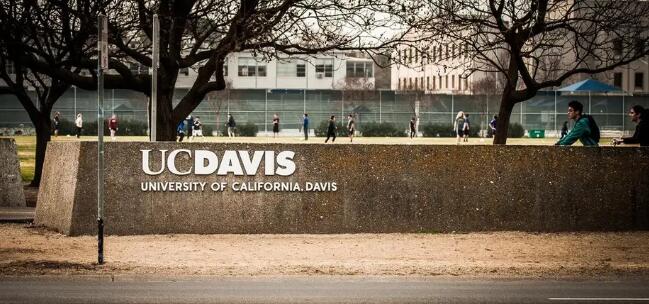 北京四中國(guó)際課程佳蓮校區(qū)錄取院校