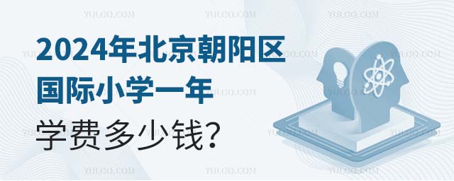 2024年北京朝陽(yáng)區(qū)國(guó)際小學(xué)一年學(xué)費(fèi)多少錢
