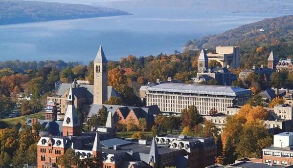 康奈爾大學(xué)