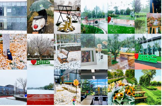 探校領(lǐng)科教育北京校區(qū)