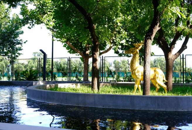 ̽Уͨ݅^(q)˽ˌW(xu)У