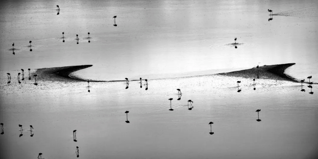 北服國際藝術(shù)高中純藝專業(yè)